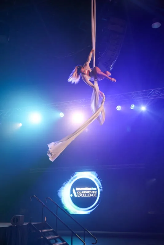 Awards Aerial Artist